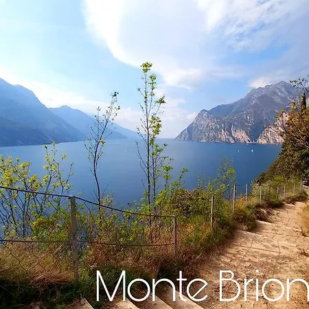 Hotel New Garden Torbole Sul Garda